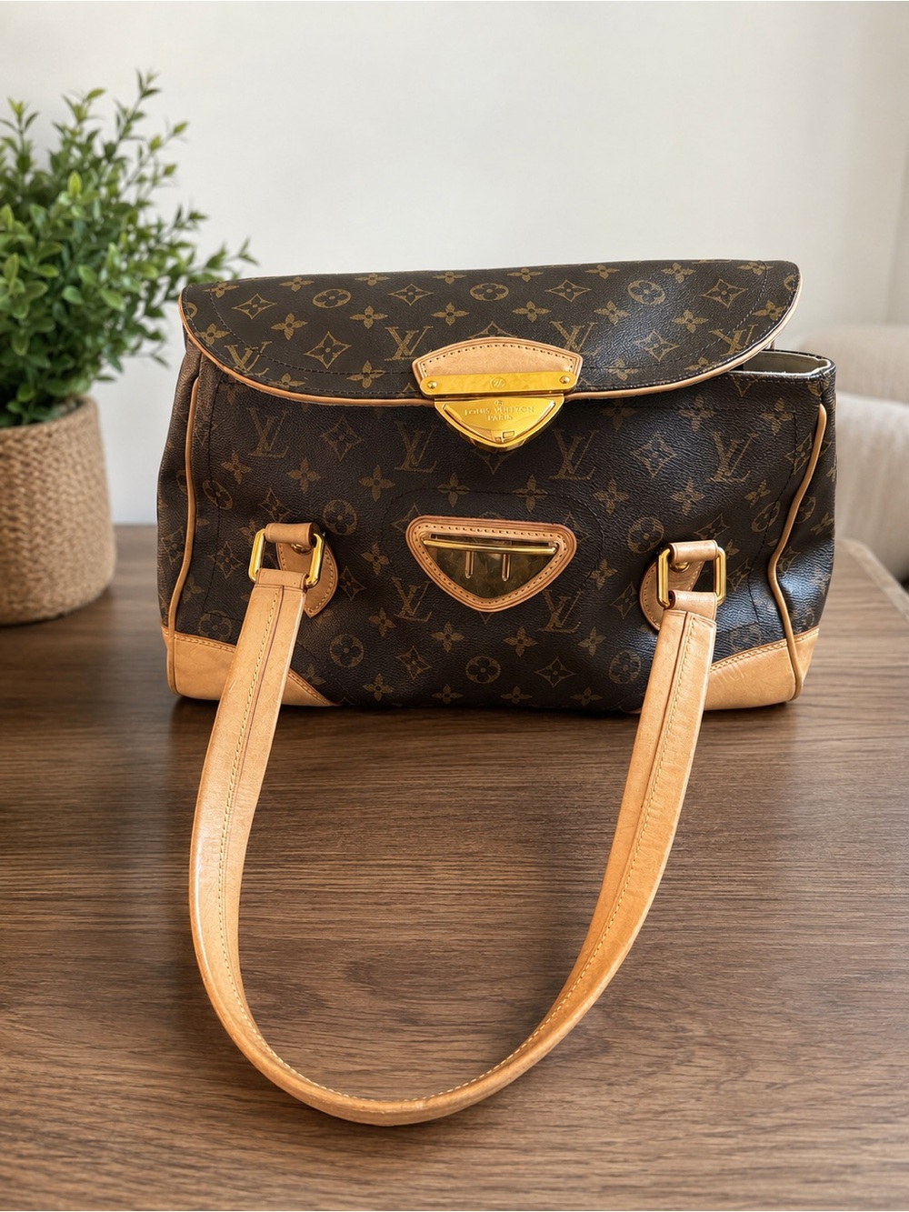Louis Vuitton Monogram Canvas Shoulder Bag with Vachetta Trim